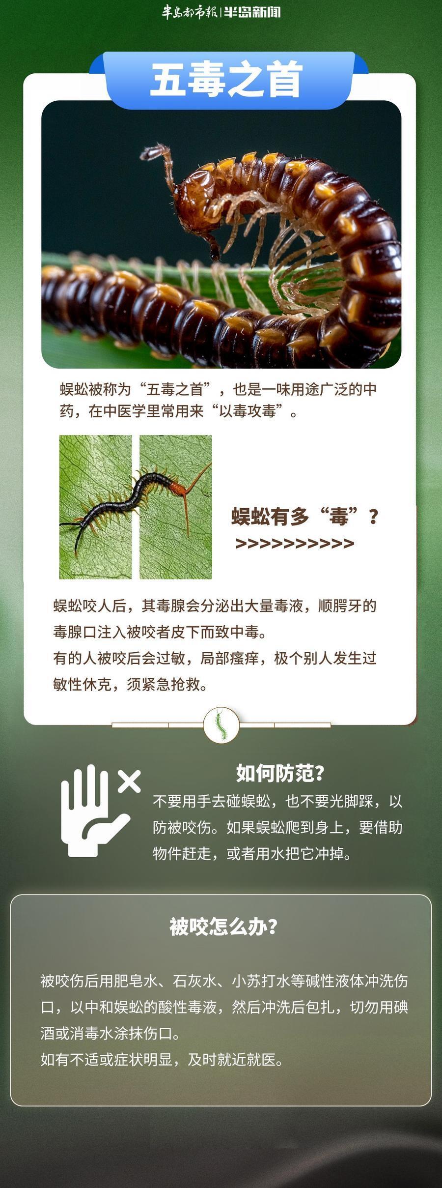 创意海报丨五一踏青出游小心虫出没