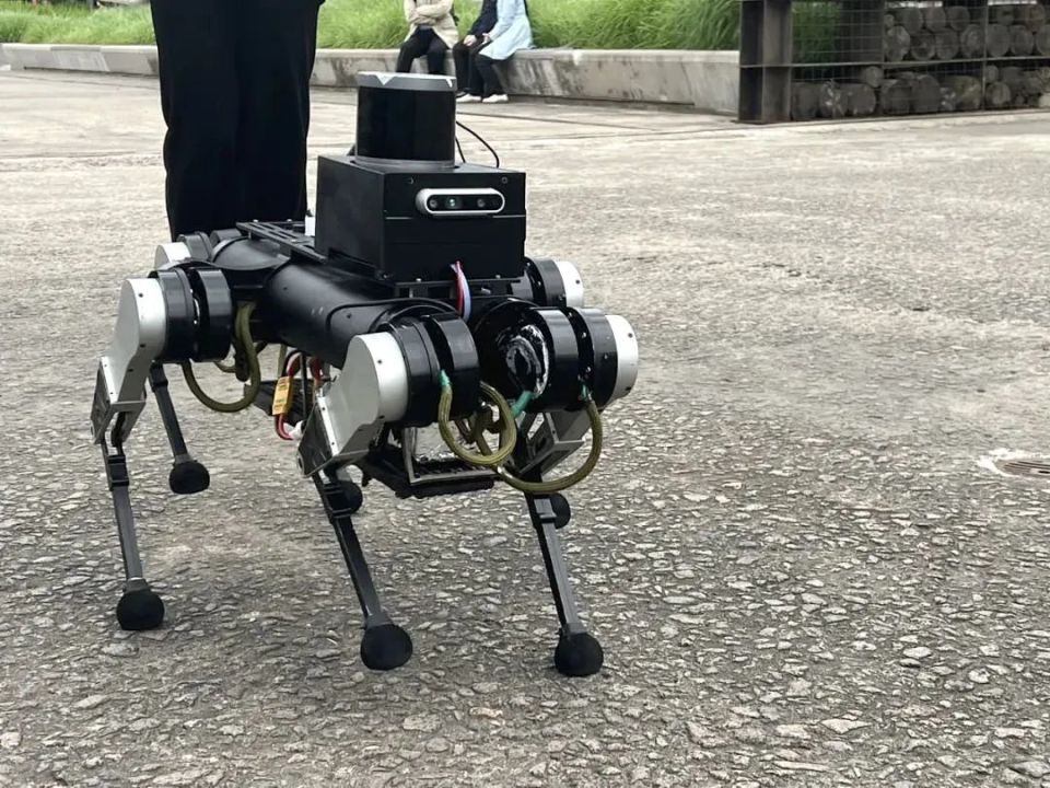 "市面上很多机器人仿造狗的外形,打造成四条腿,走路时一次性迈出两条