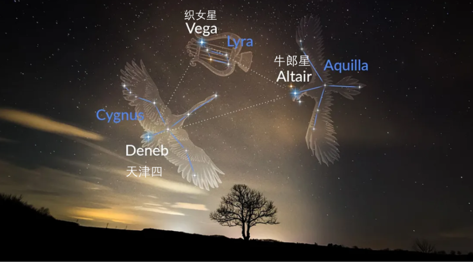 构成夏季大三角的三颗亮星,分别为天琴座的织女星(0等星),天鹰座的