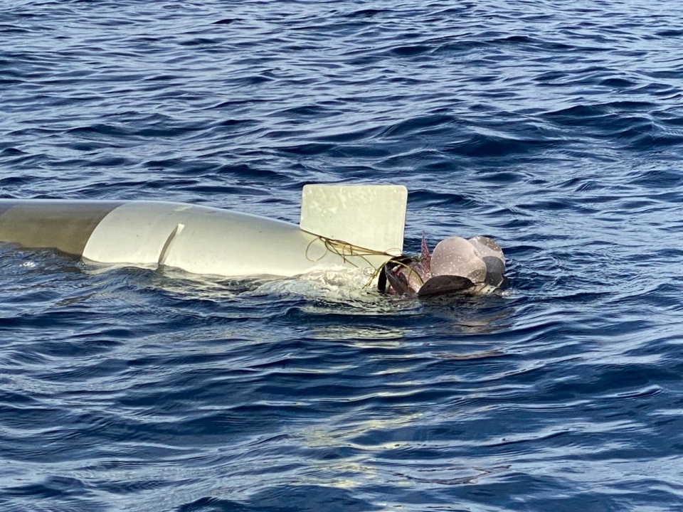 美国海军将mk46鱼雷的可靠性和低成本优点,与mk50鱼雷以数字技术为