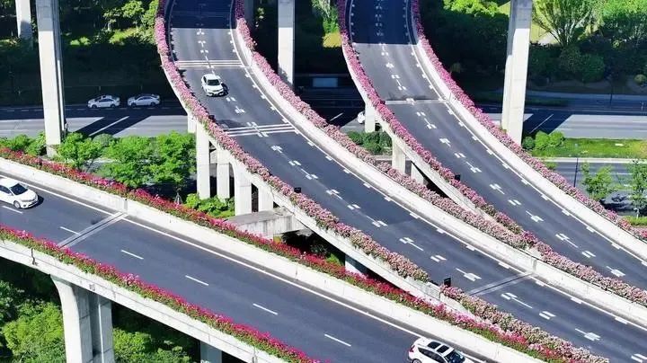 全国网友都羡慕,杭州怎么连上下班都这么浪漫!_腾讯新闻