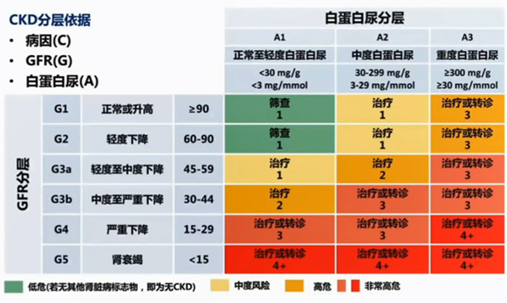 临床知识|4大要点助力慢性肾脏病早发现,早诊断,早治疗_腾讯新闻