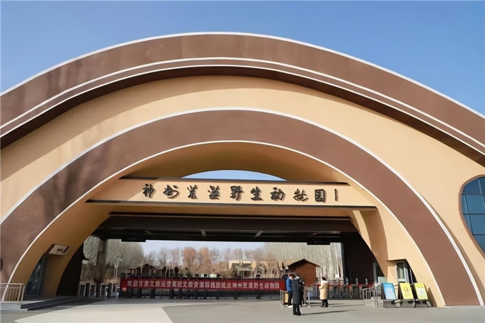 去神州荒漠野生动物园观赏动植物,体会人与自然的和谐相处.