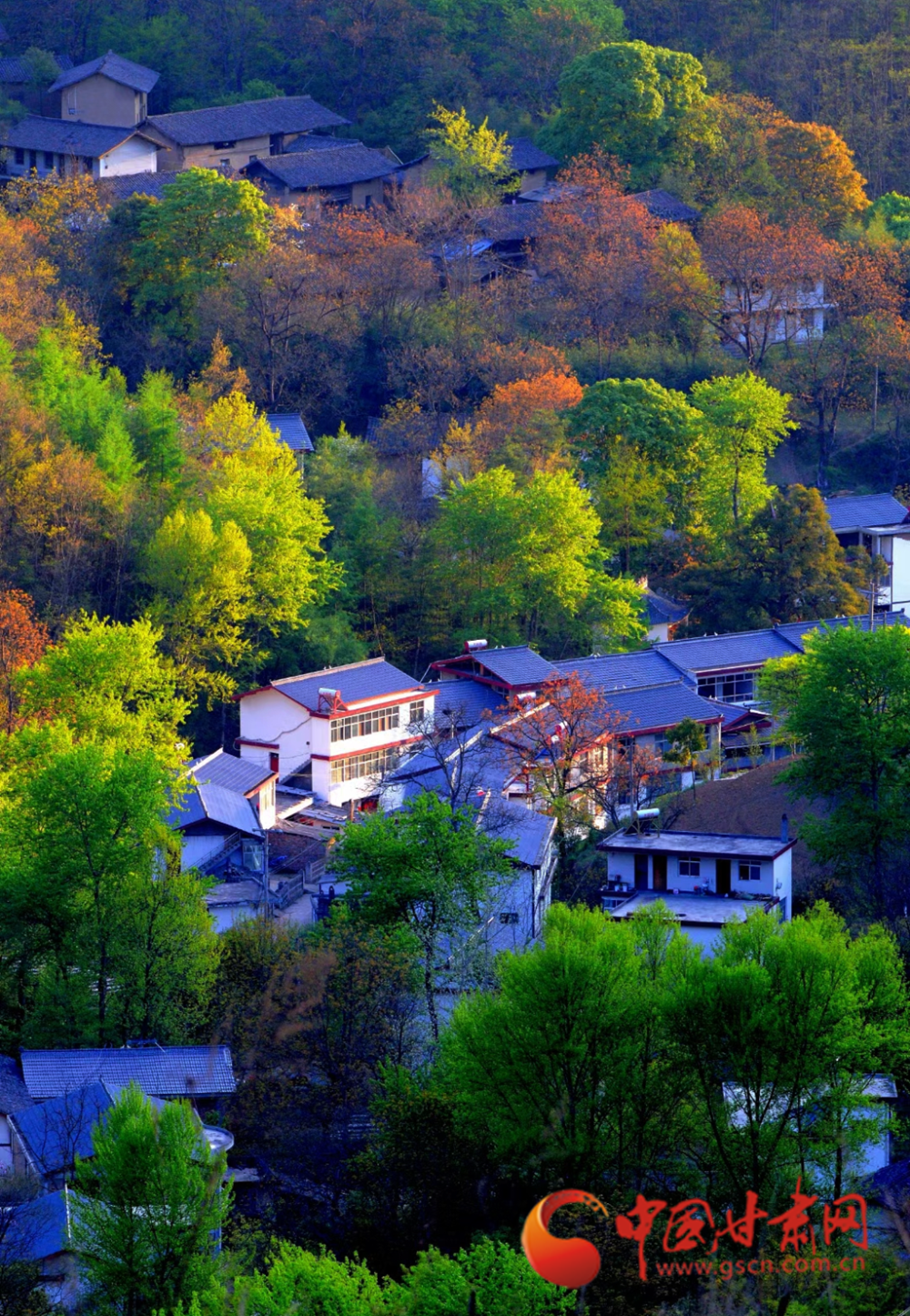 【陇拍客】康县:秋色斑斓 入眼成画