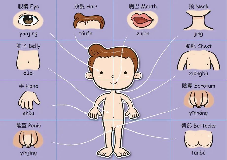 在换尿布,洗澡的时候,简单地告诉宝宝身体的各个部位,包括隐私部位,如