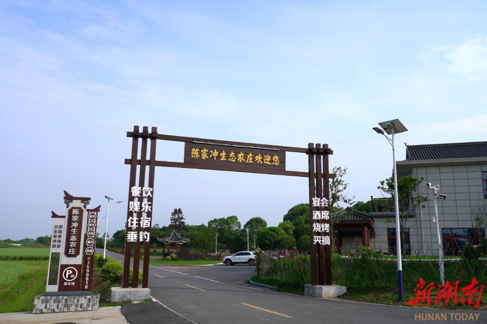 谢家铺镇:稻香小镇产业旺 和美乡村幸福浓_腾讯新闻