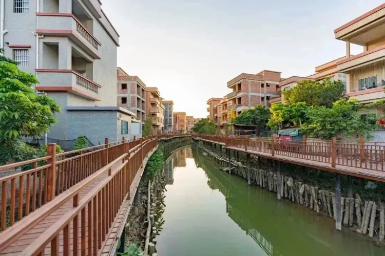 日前,东莞水乡管委会对望牛墩镇赤滘村,横沥村,官洲村,芙蓉沙村4个