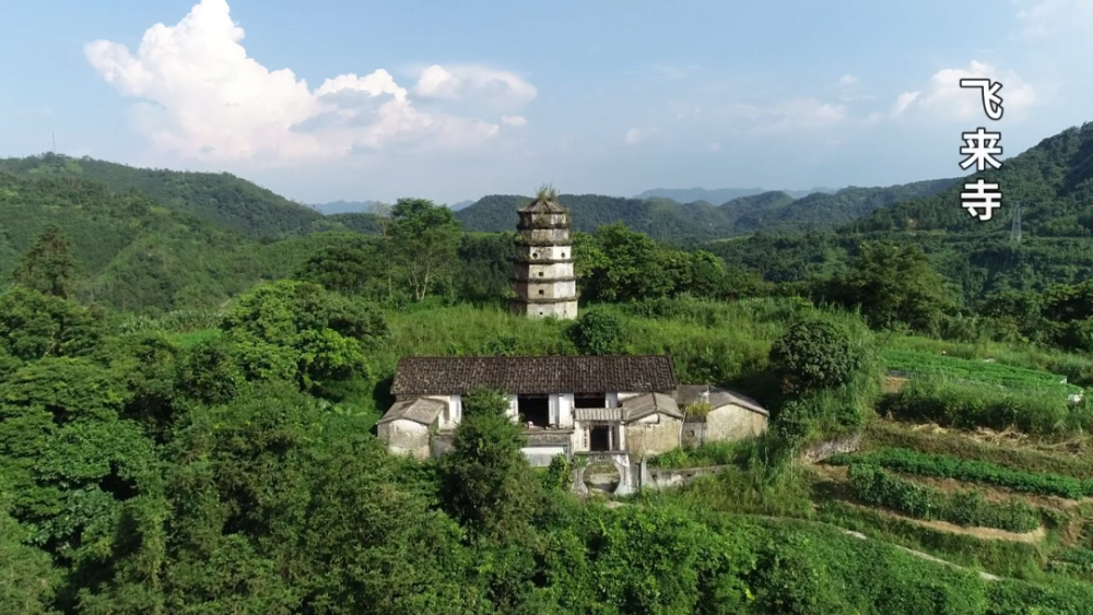 廉江吉水廻龙寺图片