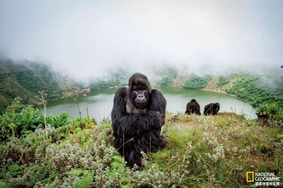 非洲狩猎已不再是屠杀动物之旅,转向保护和生态旅游_腾讯新闻
