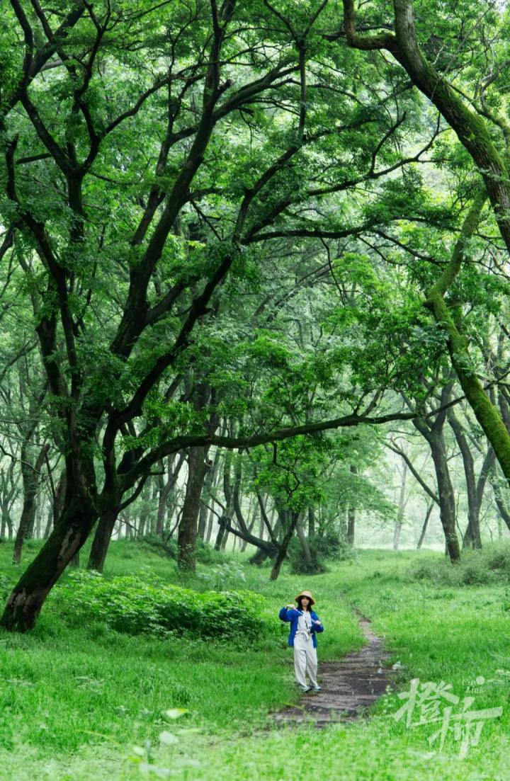 萧山,余杭,富阳,淳安,建德.想去阿勒泰的扣"1",在大杭州轻松get同款