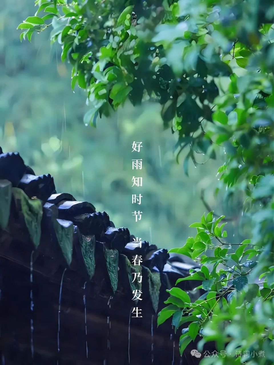 杜甫写雨最美的一首诗,全篇都是名句,千年来无人超越