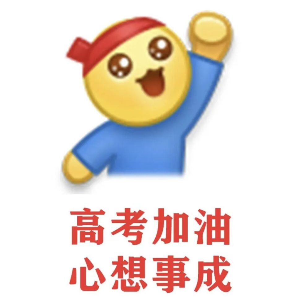 商丘市举行2024年"激扬青春 奋勇向前"爱心助考活动启动仪式