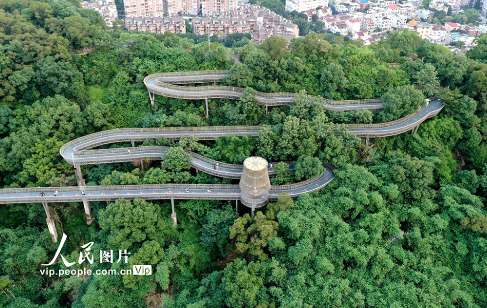 打造了数百公里的"福道",串联起金牛山,金鸡山,郊野公园等多个城市