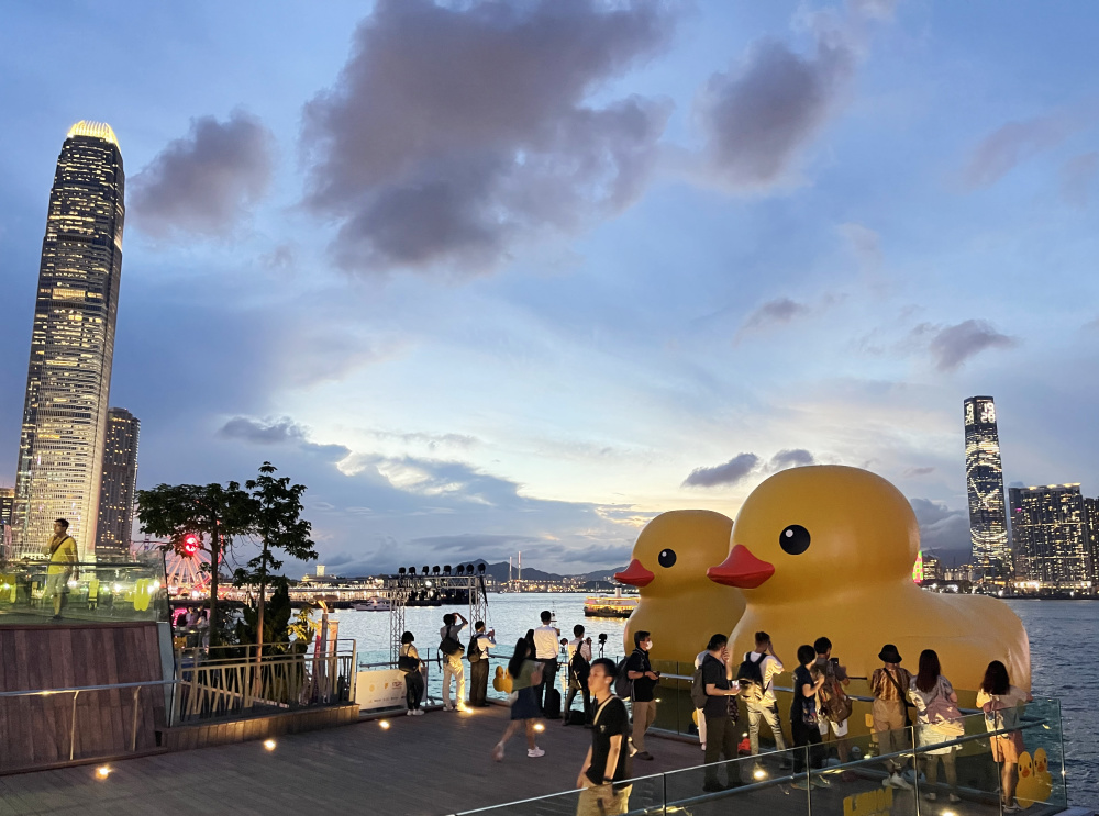 当日,两只高约18米的"大黄鸭"亮相香港维多利亚港.