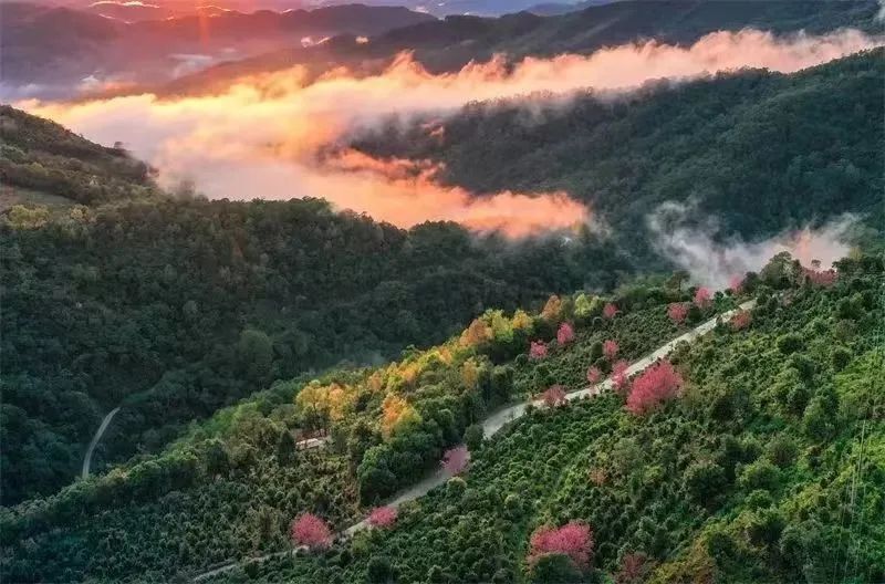 一天一点普洱2931旅交会看普洱丨普洱市在中老铁路国际文化旅游经济带