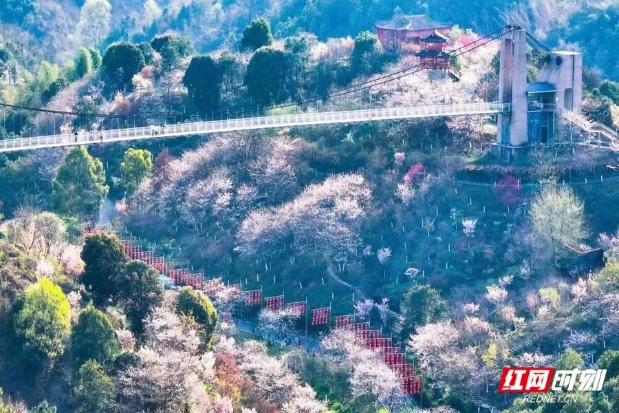 浔龙河景区电话图片