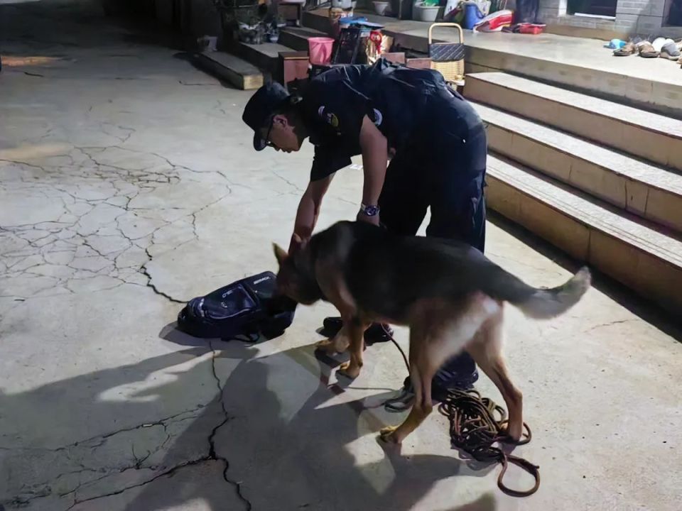 训犬员张健:别样的"战友情"诠释独特的"藏蓝梦"