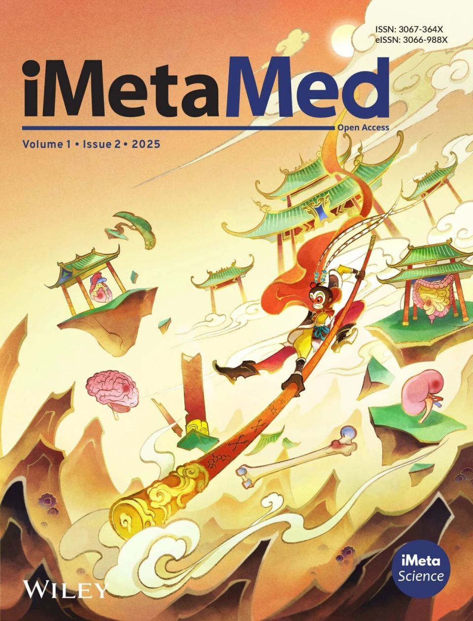 透化治疗什么iMeta ｜ 中国药科大学顾丰组-解析黄葵治疗糖尿病肾病机制_https://www.jmylbn.com_新闻资讯_第36张