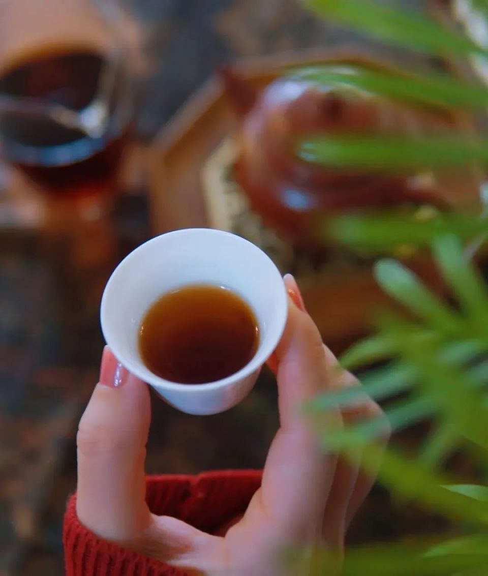 "沏点茶喝不喝"?"喝"!"超市买的散装茶","咱俩友尽了"