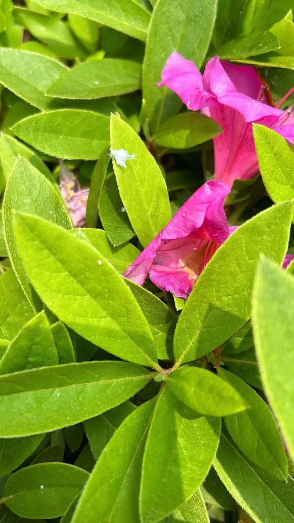 专家,医生回复来了!_腾讯新闻