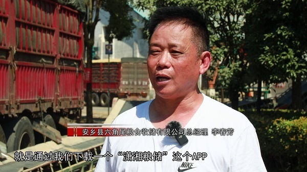 安乡:网上预约售粮 推进早稻收购