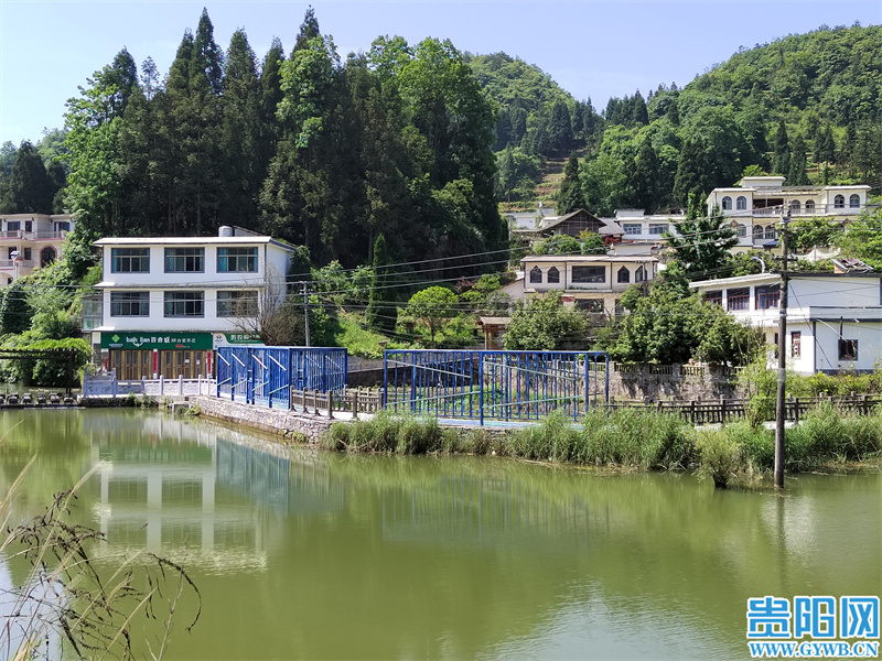 目前订房率已达66%!乌当区平坝村避暑旅居产业助力乡村振兴