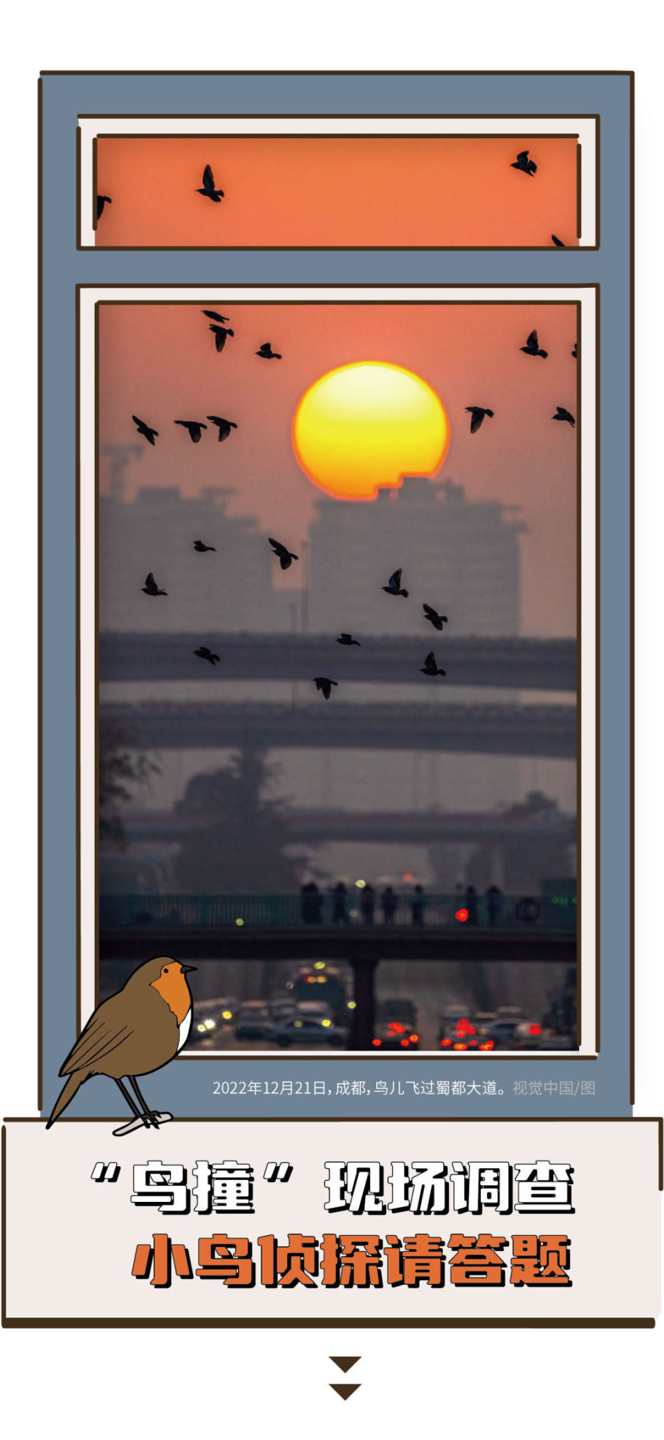 千万只鸟殒命,"鸟撞"现场调查,小鸟侦探请答题_腾讯新闻