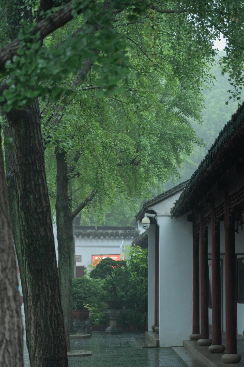 江南烟雨图雨景图片