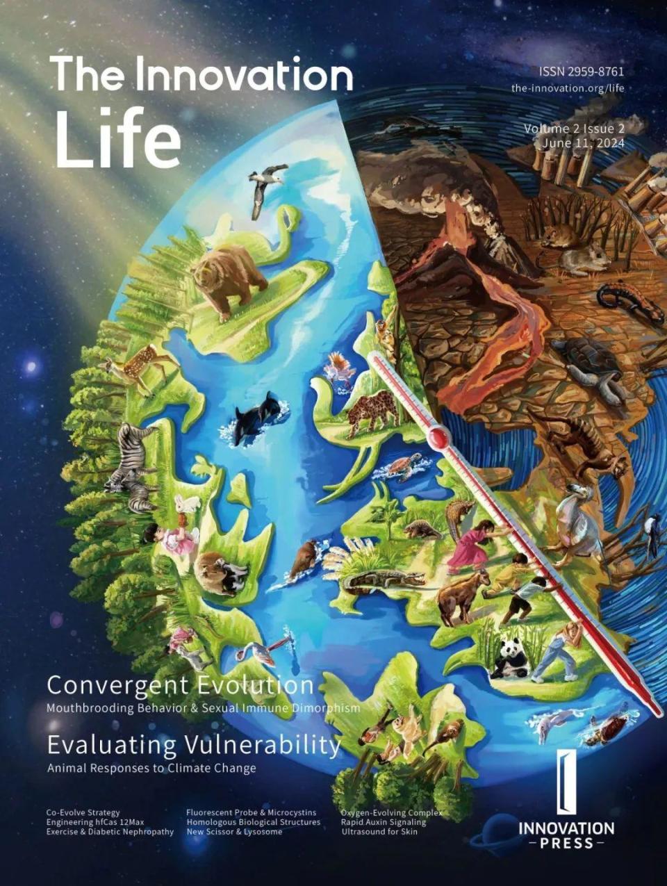 The Innovation Energy | 光催化生物质重整制氢：可持续制氢新技术_腾讯新闻