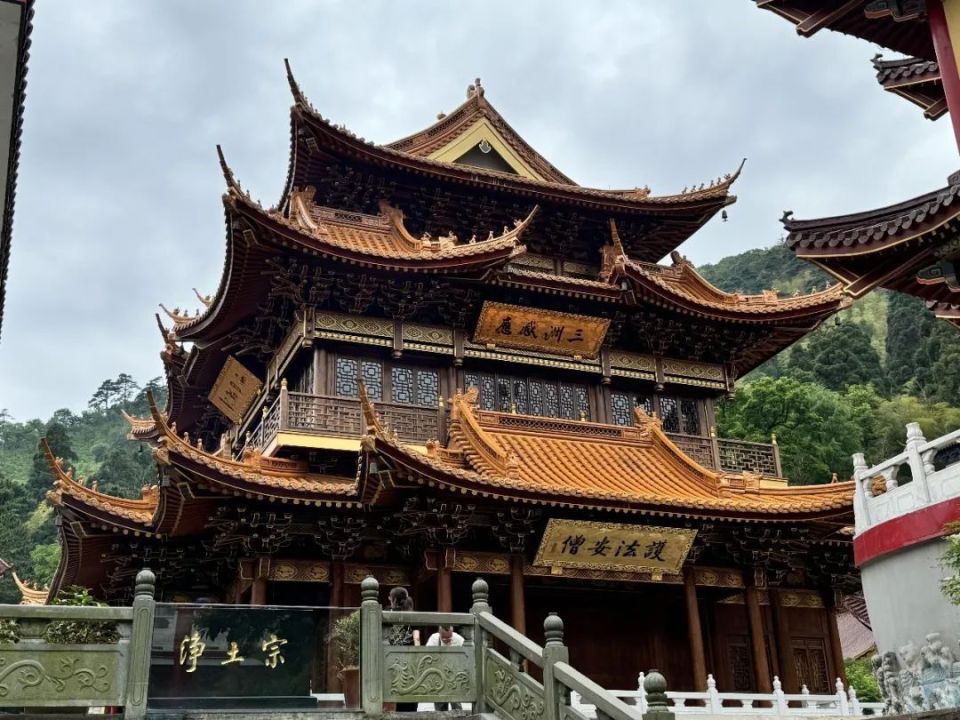 踩线回顾 | 第一期环天目山,安吉205,大鱼线,深王线等活动回顾