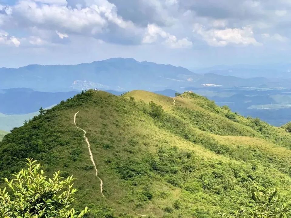 那吉镇党政办供图陈向荣摄牛塘山临近恩平七星坑省级自然保护区其最高