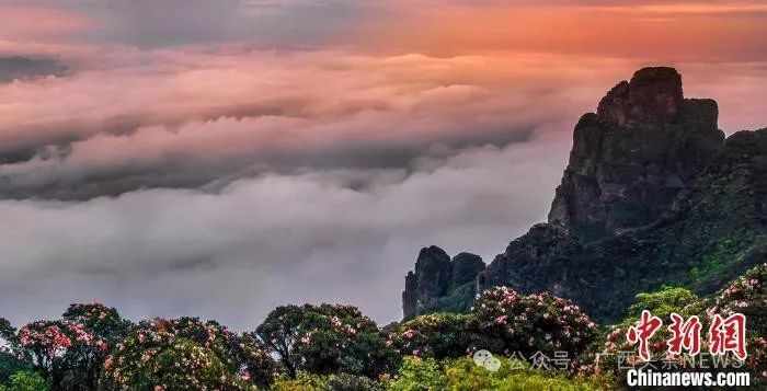 广西这些景区有新目标!升级打造世界级,5a级,国家级