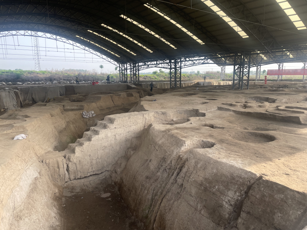 我国最早粮仓城长啥样到周口淮阳时庄遗址寻夏行走河南读懂中国