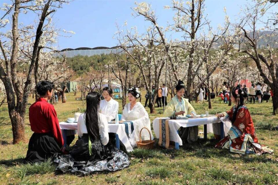 新春音乐会,洛龙公园樱花节,万溪冲梨花节,中老铁路国际旅客列车开行