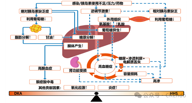 ada,easd等5大国际组织联合发布「高血糖危象管理专家共识」