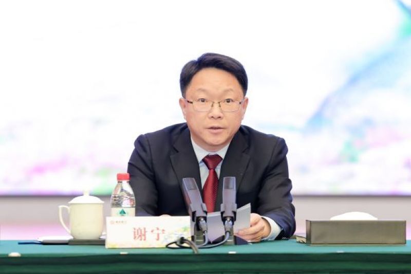 董事长谢宁履新148天后首次亮相:南京银行增加了一批重要资质