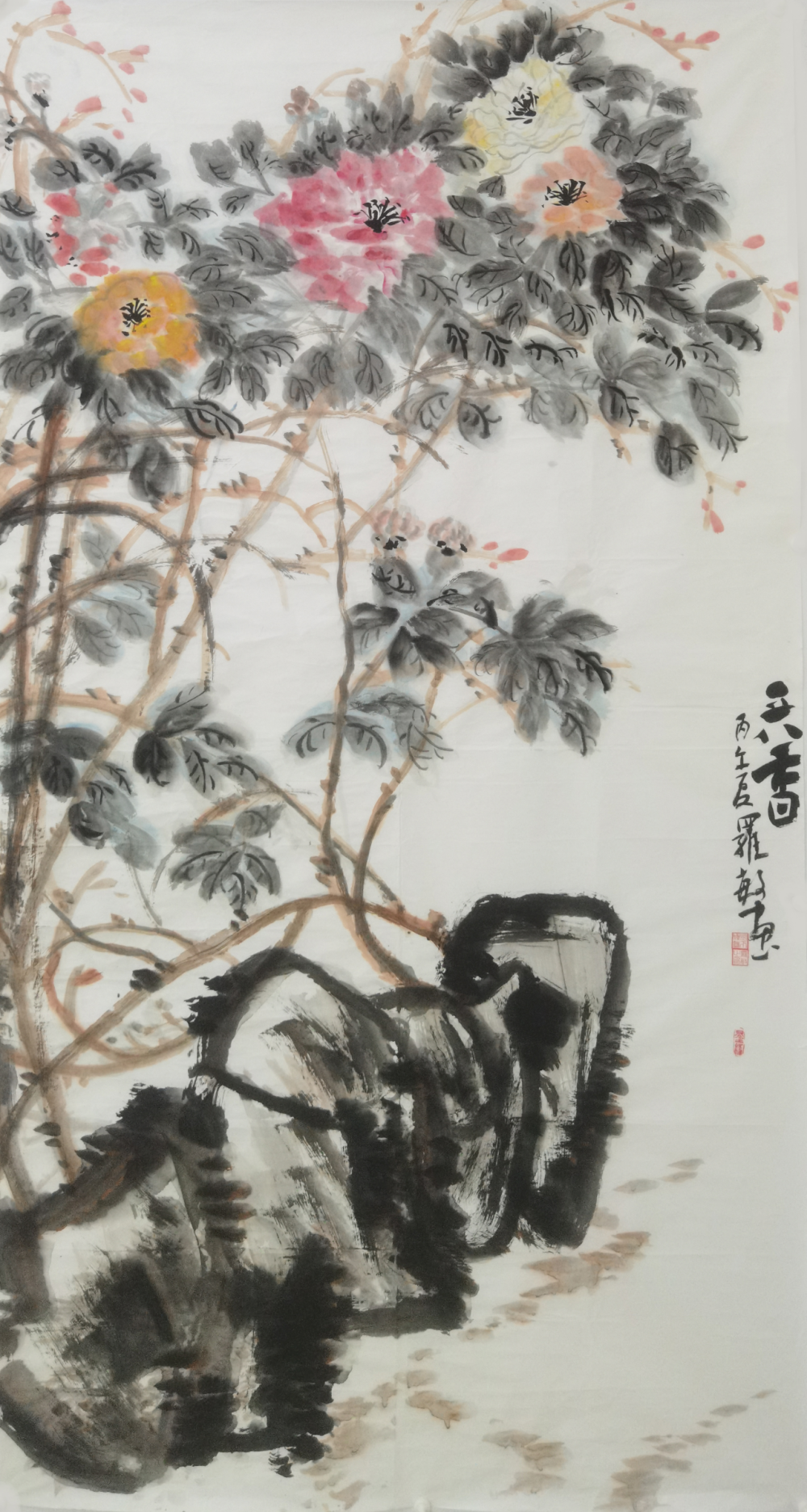 图片