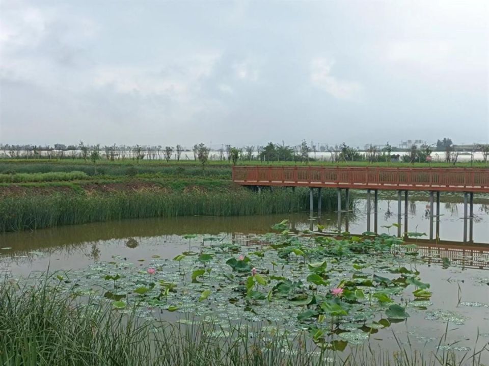 牛栏江镇罗帮农文旅项目推介