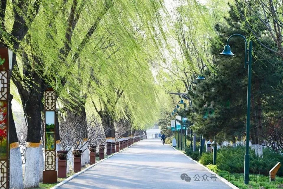 沿马拉松赛道看副中心蝶变_腾讯新闻