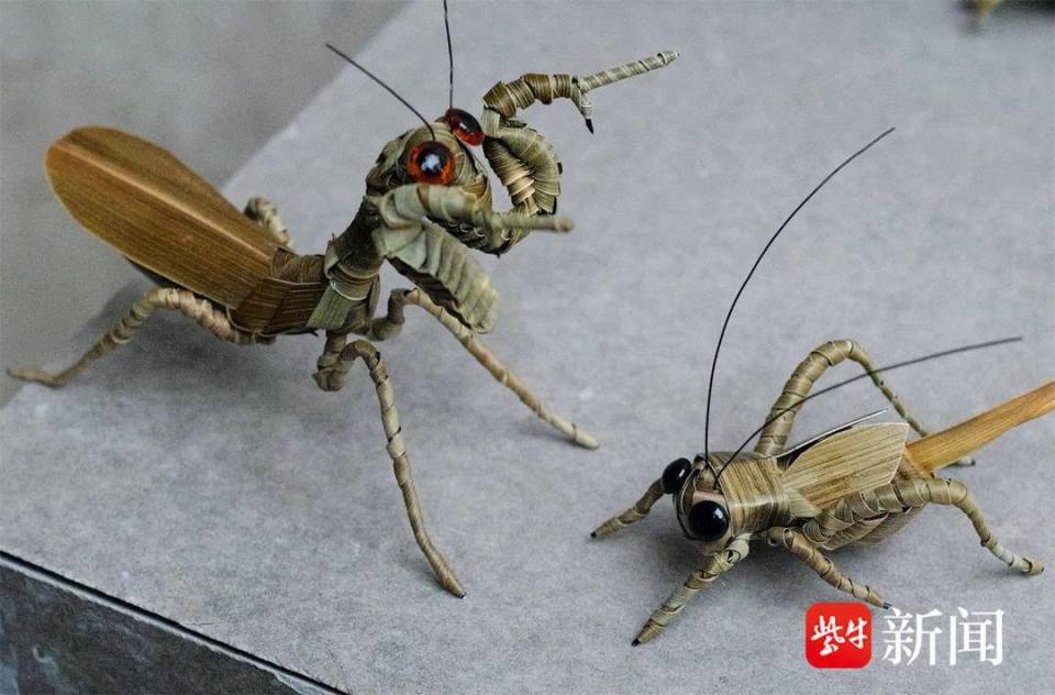 还要追溯到孩童时期,早期的手艺人,把棕榈叶编织成青蛙,蜻蜓,蚱蜢等