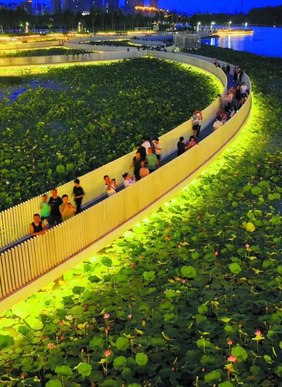 石家庄太平河漫水路及周边湿地经过景观