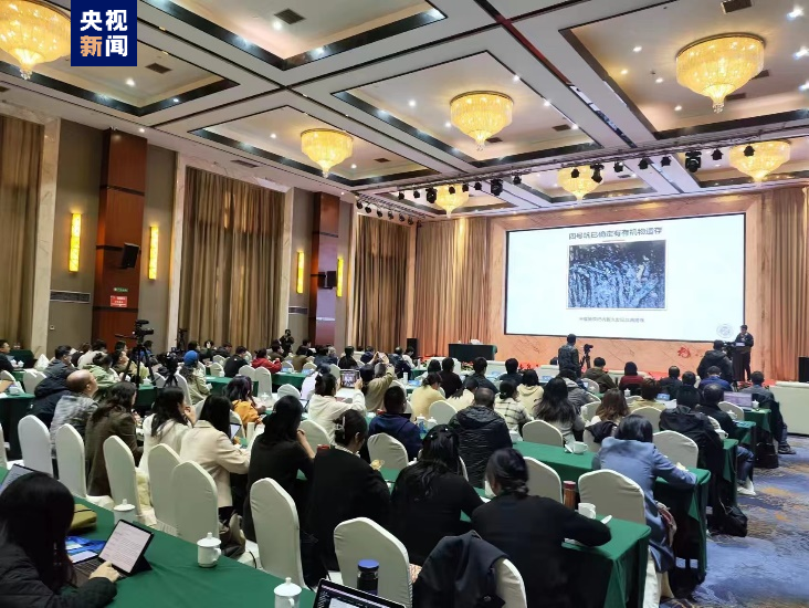 關于佑安醫院黃牛排隊掛號CT加急黃牛掛號的信息