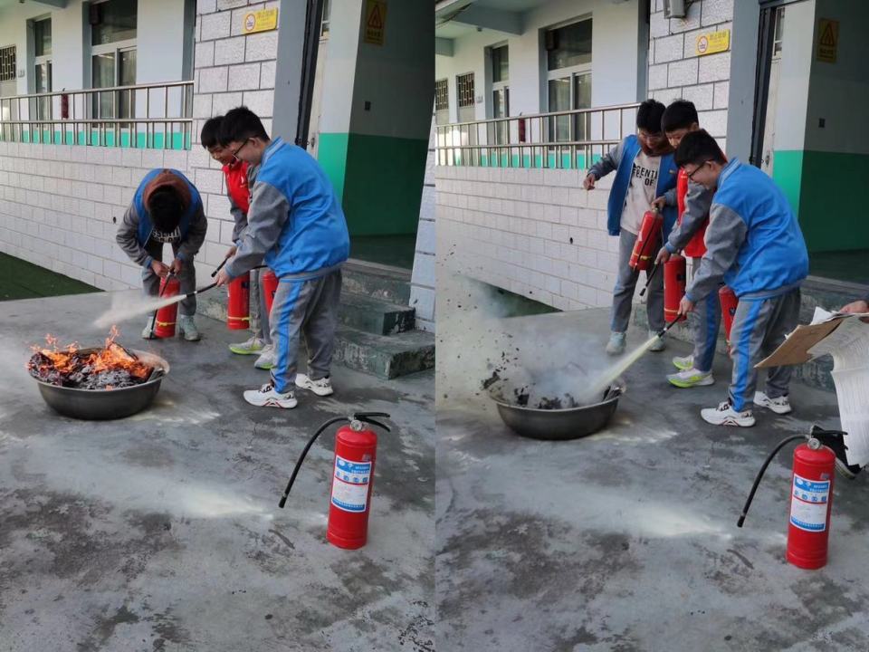 辉县市城北中学校花图片