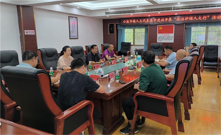 邵阳县人大常委会主任会议成员集中开展"法治护绿人大行"活动