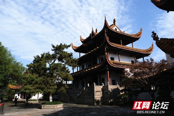 长沙天心公园闭园修整,迎百年庆典_腾讯新闻