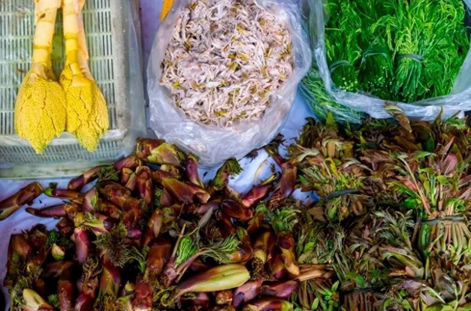 来腾冲吃春,体验有一种叫云南的生活_腾讯新闻