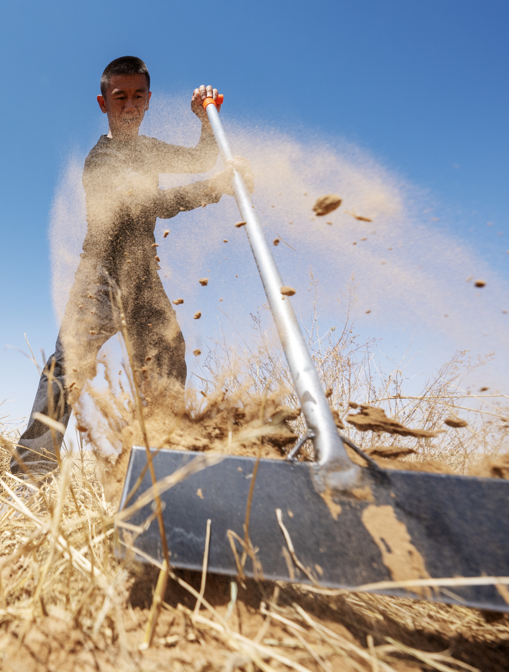 萤火·青春|儿时沙海,如今花香扑面——八步沙第三代治沙人郭玺的治沙