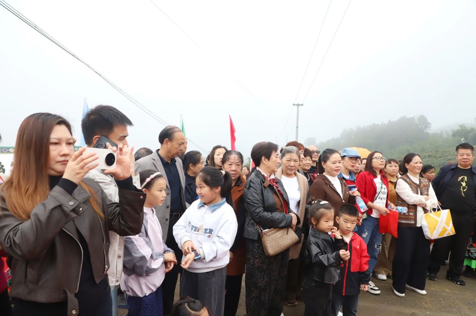 热闹开摘！麒麟这座山里藏着“金果子”_腾讯新闻