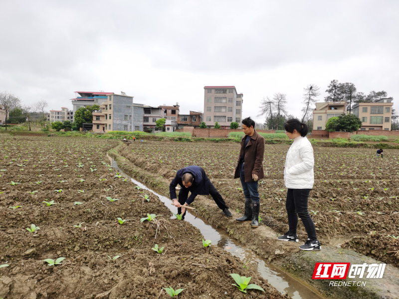 宜章县黄沙镇:下沉一线强监督守好惠民惠农"钱袋子"