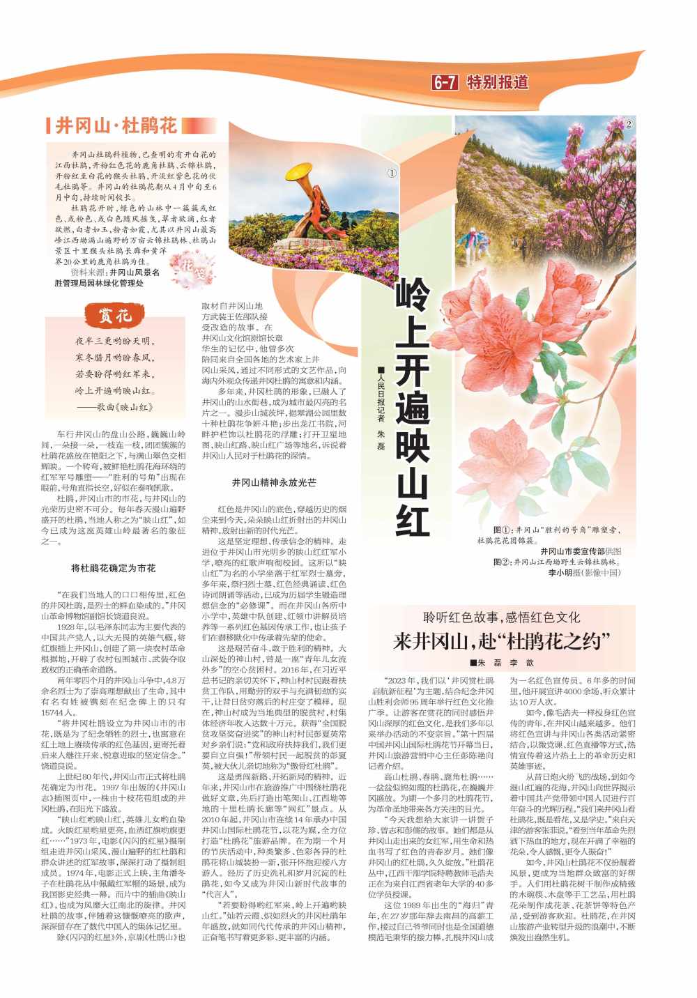 岭上开遍映山红